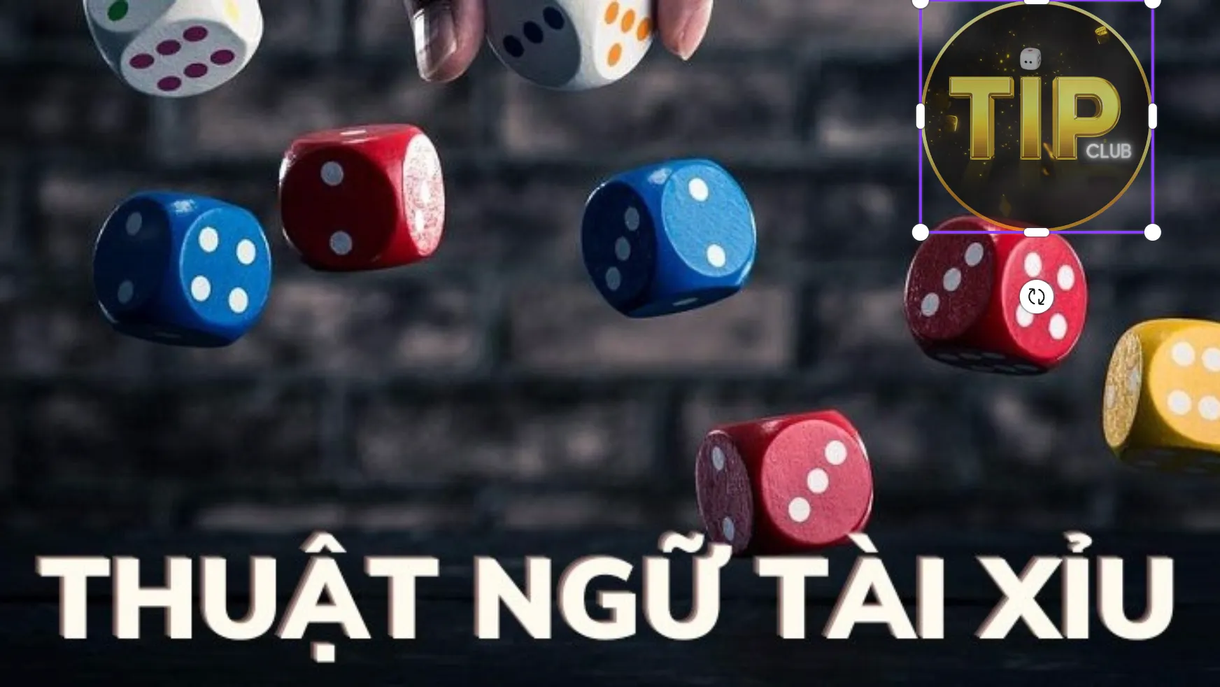 Nắm vững thuật ngữ là cách chơi Tài Xỉu Tip Club hiệu quả